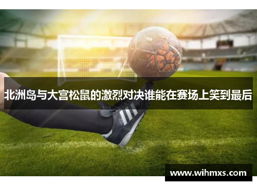 北洲岛与大宫松鼠的激烈对决谁能在赛场上笑到最后