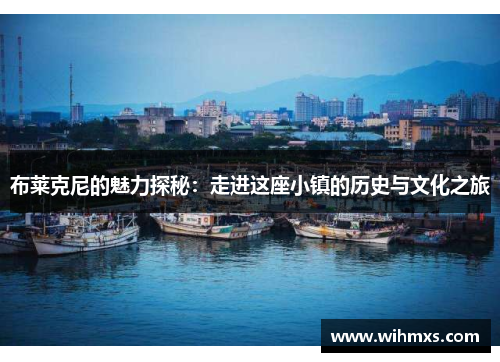 布莱克尼的魅力探秘：走进这座小镇的历史与文化之旅